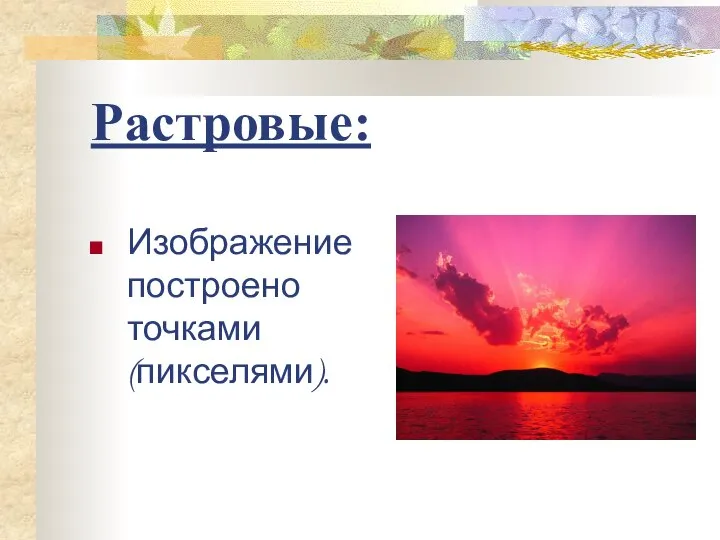 Растровые: Изображение построено точками (пикселями).