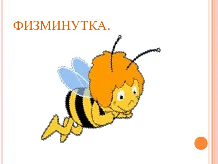 ФИЗМИНУТКА.