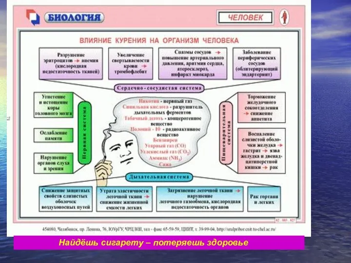 Найдёшь сигарету – потеряешь здоровье