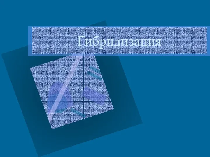 Гибридизация