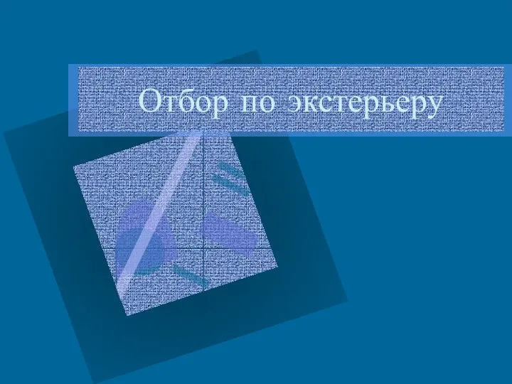 Отбор по экстерьеру