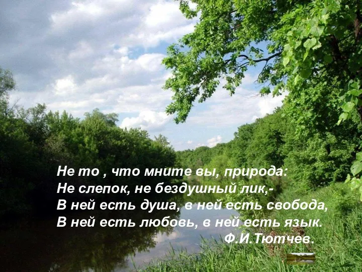 Не то , что мните вы, природа: Не слепок, не бездушный