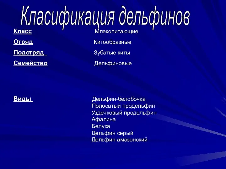 Класификация дельфинов Класс Млекопитающие Отряд Китообразные Подотряд Зубатые киты Семейство Дельфиновые