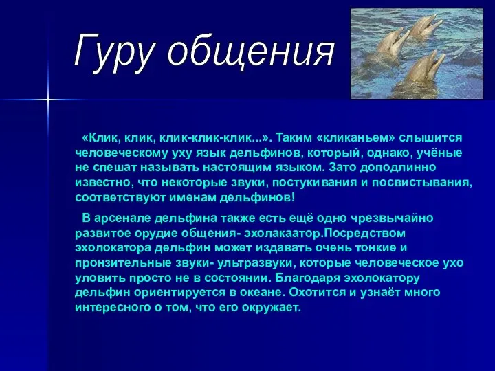 Гуру общения «Клик, клик, клик-клик-клик...». Таким «кликаньем» слышится человеческому уху язык