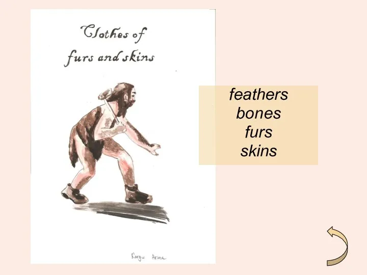 feathers bones furs skins