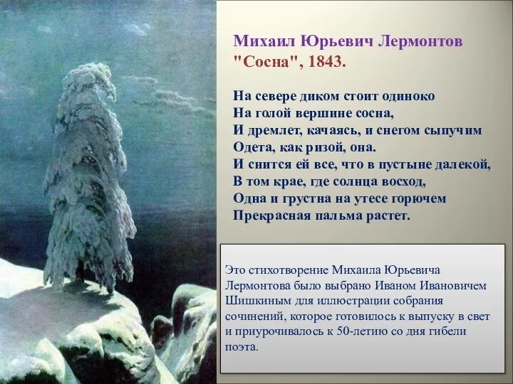 Михаил Юрьевич Лермонтов "Сосна", 1843. На севере диком стоит одиноко На