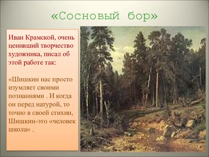 «Сосновый бор» Иван Крамской, очень ценивший творчество художника, писал об этой