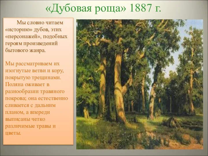 «Дубовая роща» 1887 г. Мы словно читаем «историю» дубов, этих «персонажей»,