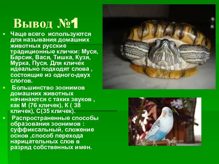 Вывод №1 Чаще всего используются для называния домашних животных русские традиционные