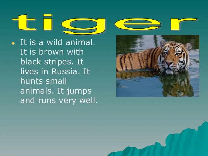 It is a wild animal. It is brown with black stripes.