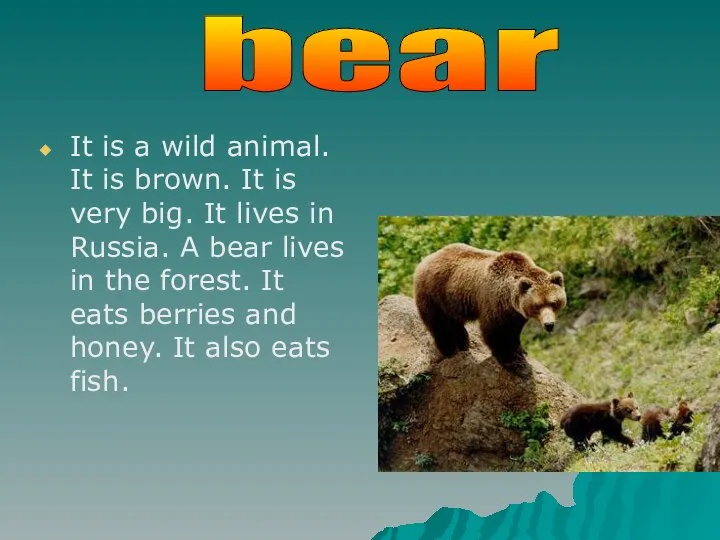 It is a wild animal. It is brown. It is very