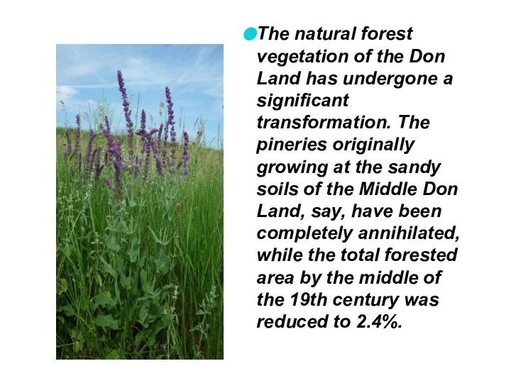 The natural forest vegetation of the Don Land has undergone a