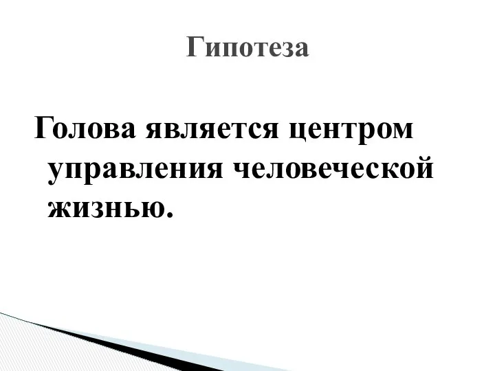 Голова является центром управления человеческой жизнью. Гипотеза