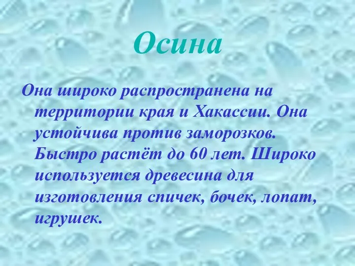 Осина Она широко распространена на территории края и Хакассии. Она устойчива