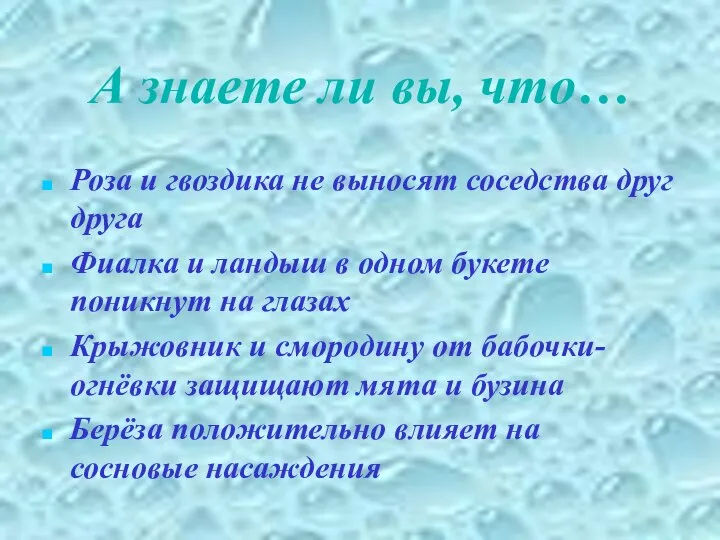 А знаете ли вы, что… Роза и гвоздика не выносят соседства