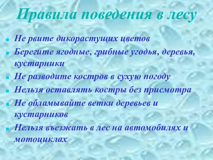 Правила поведения в лесу Не рвите дикорастущих цветов Берегите ягодные, грибные