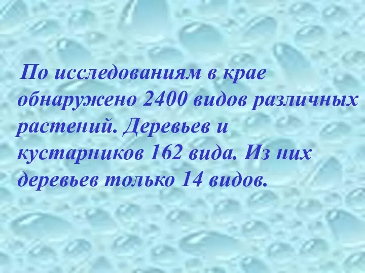 По исследованиям в крае обнаружено 2400 видов различных растений. Деревьев и