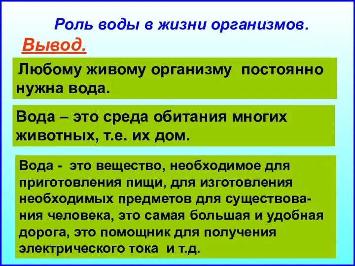 Роль воды в жизни организмов. Любому живому организму постоянно нужна вода.