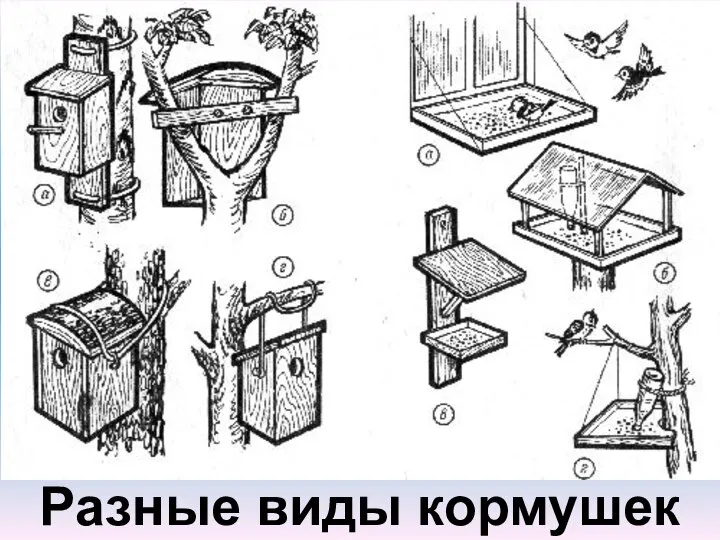 Разные виды кормушек