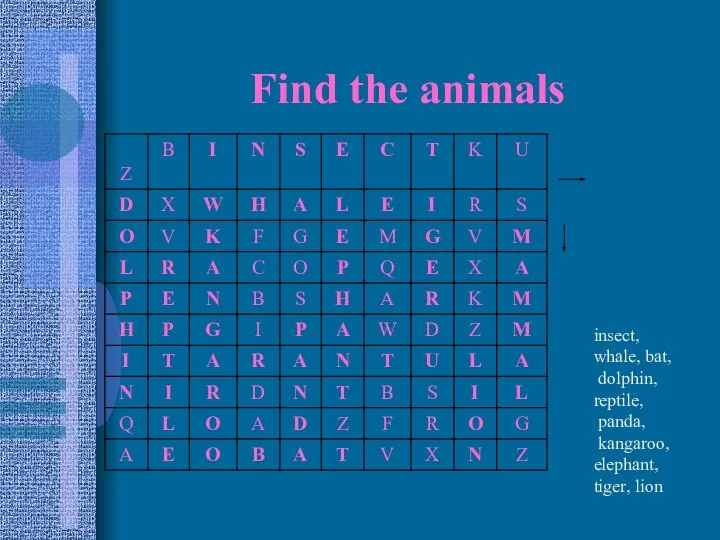 Find the animals insect, whale, bat, dolphin, reptile, panda, kangaroo, elephant, tiger, lion