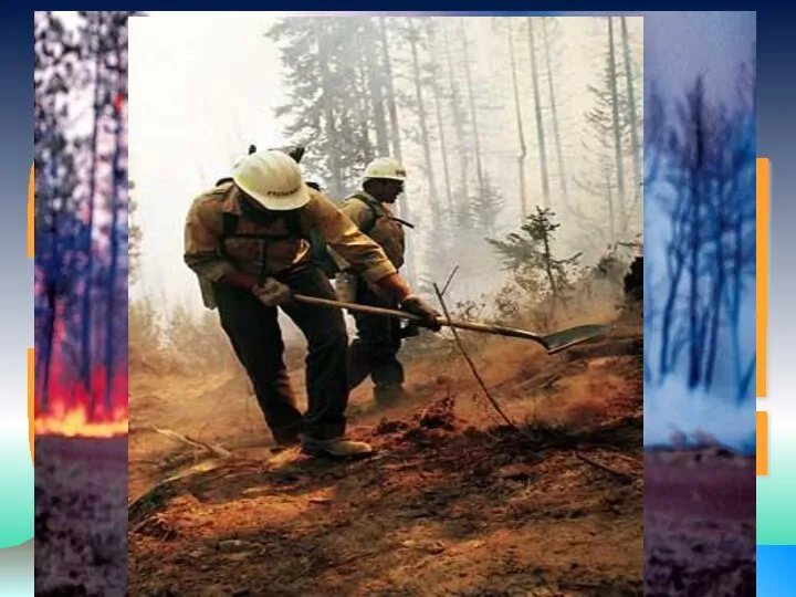 Защити лес от пожара!