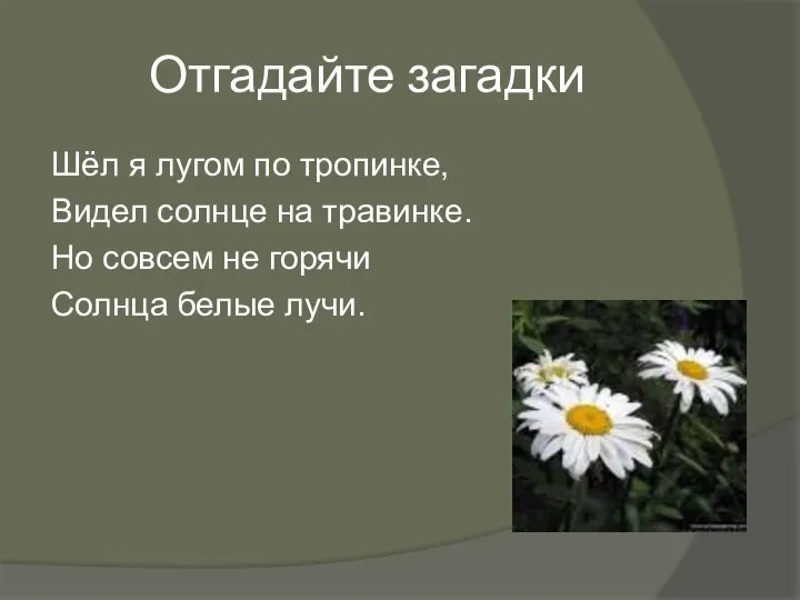 Отгадайте загадки Шёл я лугом по тропинке, Видел солнце на травинке.