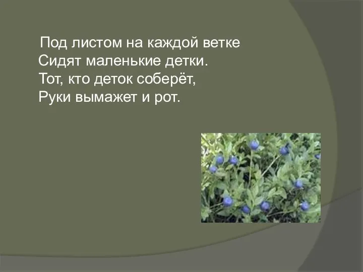 Под листом на каждой ветке Сидят маленькие детки. Тот, кто деток соберёт, Руки вымажет и рот.