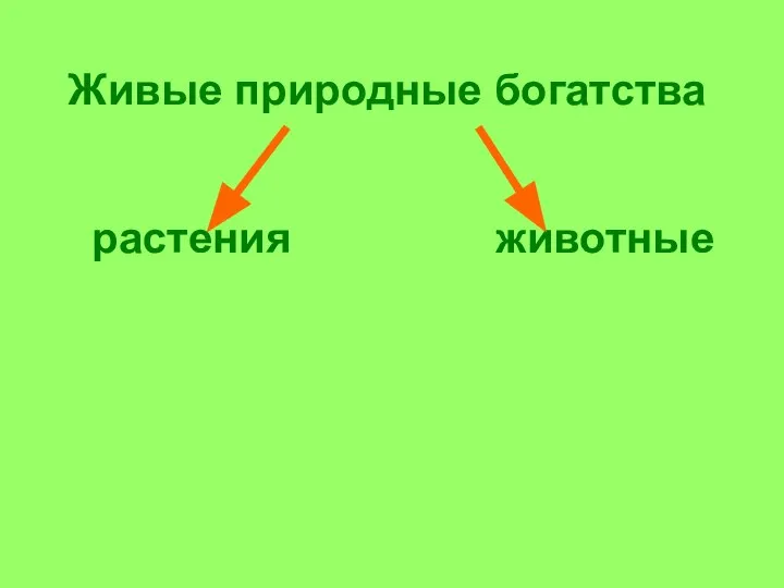 Живые природные богатства растения животные