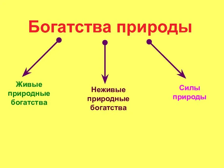 Богатства природы Живые природные богатства Неживые природные богатства Силы природы