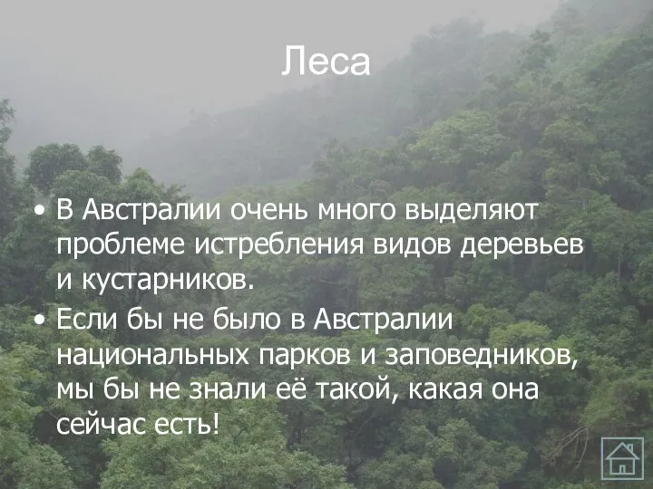 Леса В Австралии очень много выделяют проблеме истребления видов деревьев и