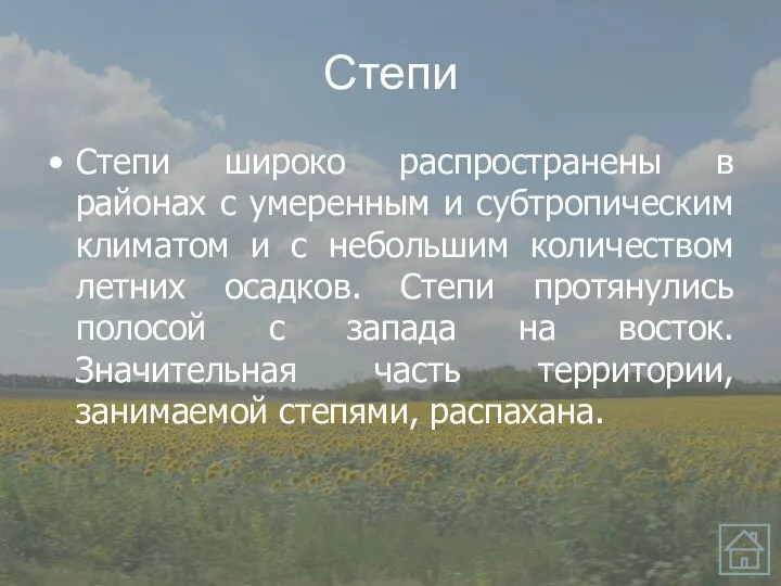 Степи Степи широко распространены в районах с умеренным и субтропическим климатом