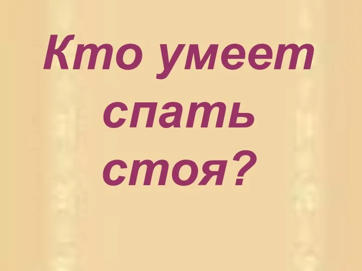 Кто умеет спать стоя?