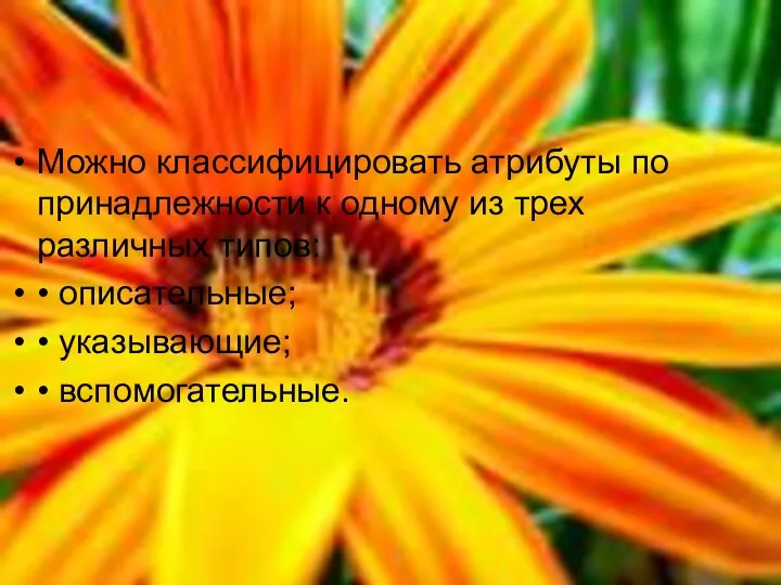 Можно классифицировать атрибуты по принадлежности к одному из трех различных типов: