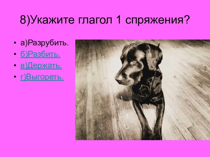 8)Укажите глагол 1 спряжения? а)Разрубить. б)Разбить. в)Держать. г)Выгореть.