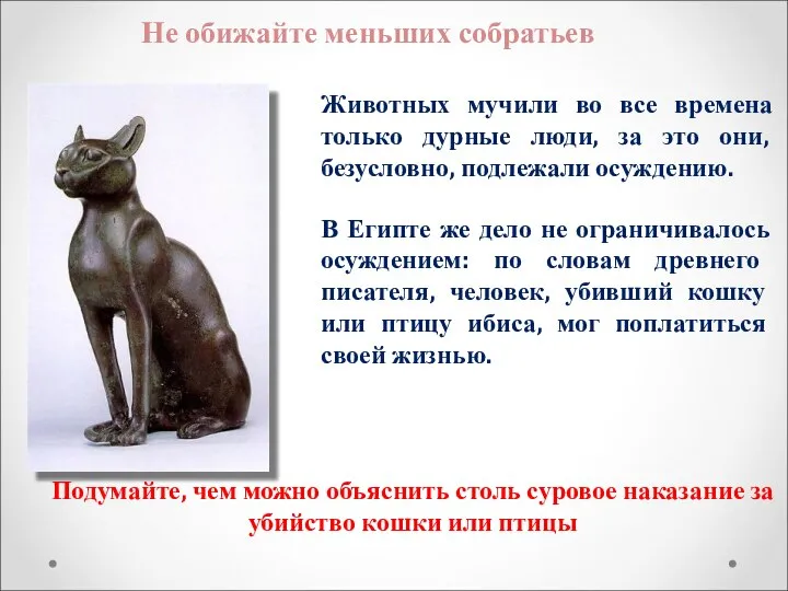 Не обижайте меньших собратьев Животных мучили во все времена только дурные