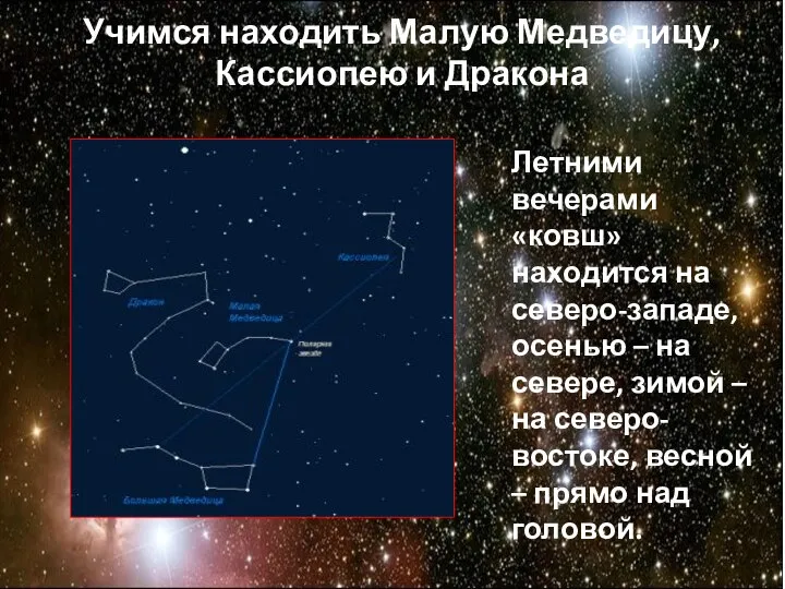 Учимся находить Малую Медведицу, Кассиопею и Дракона Летними вечерами «ковш» находится