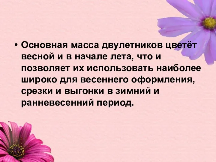 Основная масса двулетников цветёт весной и в начале лета, что и