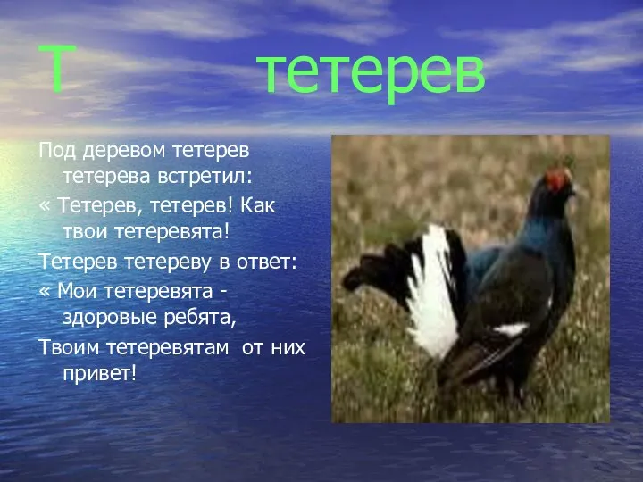 Т тетерев Под деревом тетерев тетерева встретил: « Тетерев, тетерев! Как