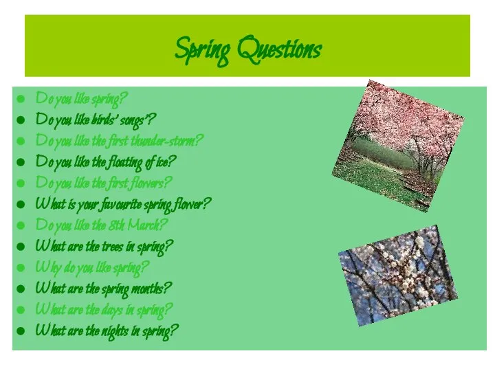 Spring Questions Do you like spring? Do you like birds' songs'?