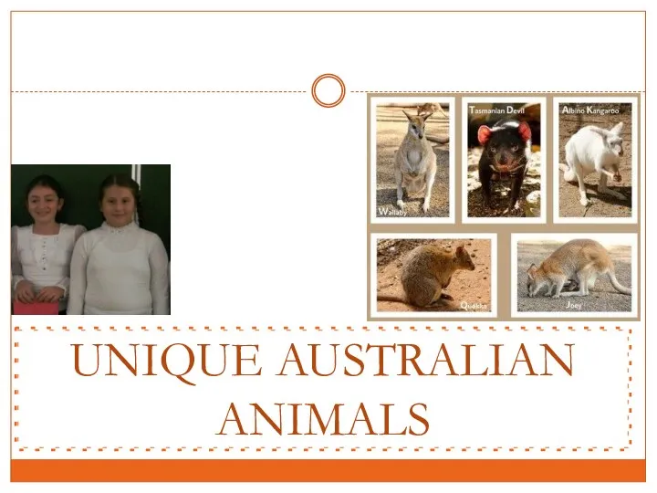 UNIQUE AUSTRALIAN ANIMALS