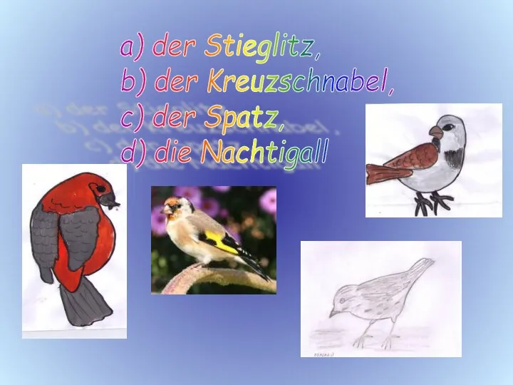 a) der Stieglitz, b) der Kreuzschnabel, c) der Spatz, d) die Nachtigall