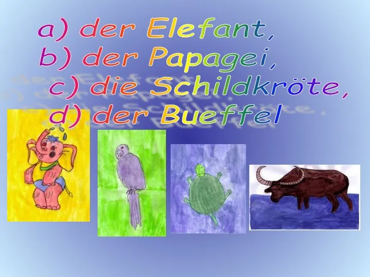 a) der Elefant, b) der Papagei, c) die Schildkröte, d) der Bueffel