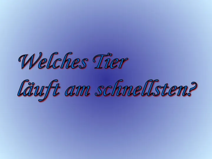 Welches Tier läuft am schnellsten?