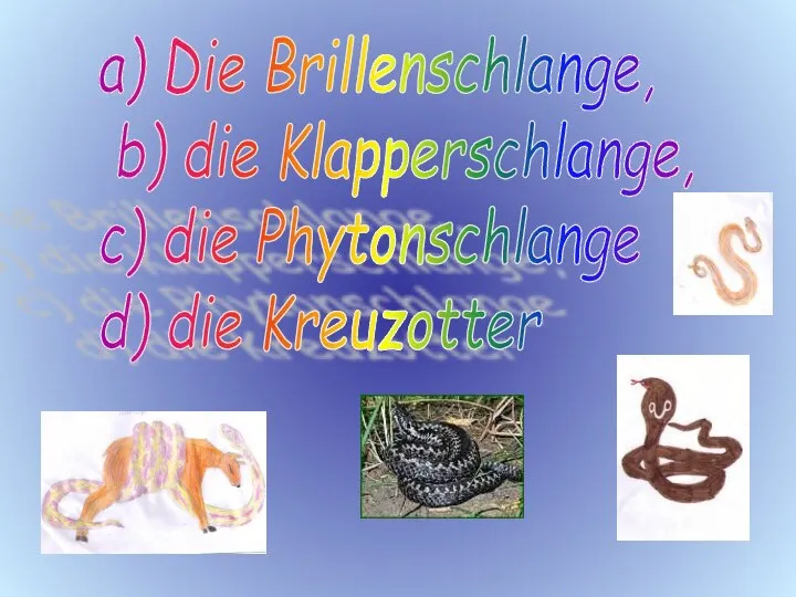 a) Die Brillenschlange, b) die Klapperschlange, c) die Phytonschlange d) die Kreuzotter