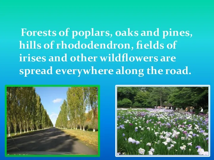 Forests of poplars, oaks and pines, hills of rhododendron, fields of