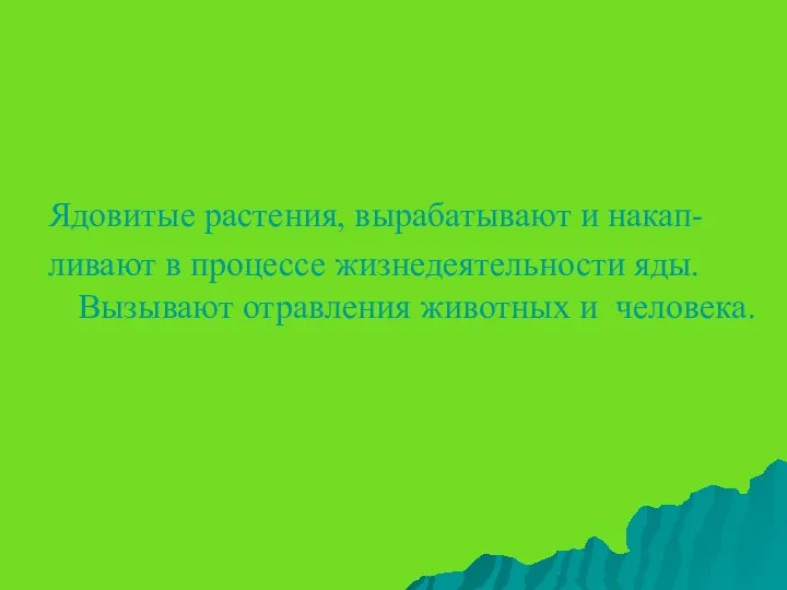 Ядовитые растения, вырабатывают и накап- ливают в процессе жизнедеятельности яды. Вызывают отравления животных и человека.