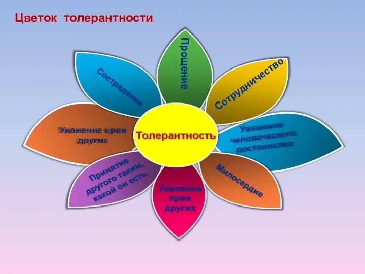 Сотрудничество Прощение Цветок толерантности