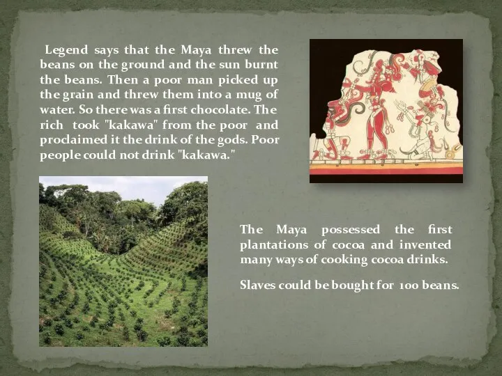 Legend says that the Maya threw the beans on the ground