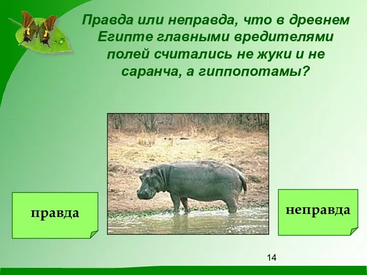 Правда или неправда, что в древнем Египте главными вредителями полей считались