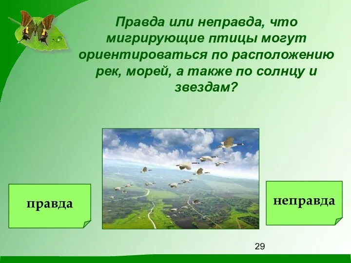 Правда или неправда, что мигрирующие птицы могут ориентироваться по расположению рек,